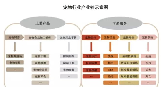 msn中国 发展 史_中国古代建筑史论文网站_电视机的发展史论文